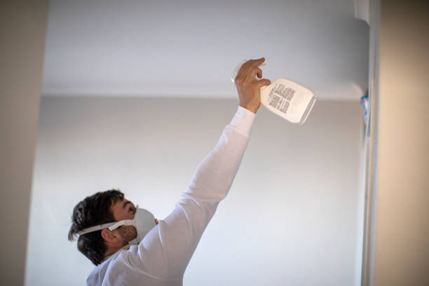 Best Toxic Mold Removal  in Buies Creek, NC