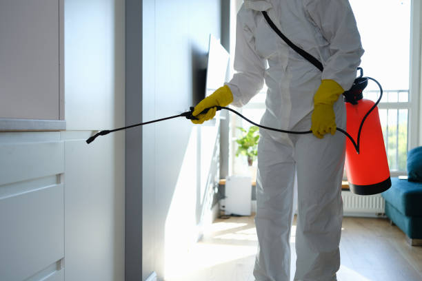 Office Mold Removal Services in Buies Creek, NC